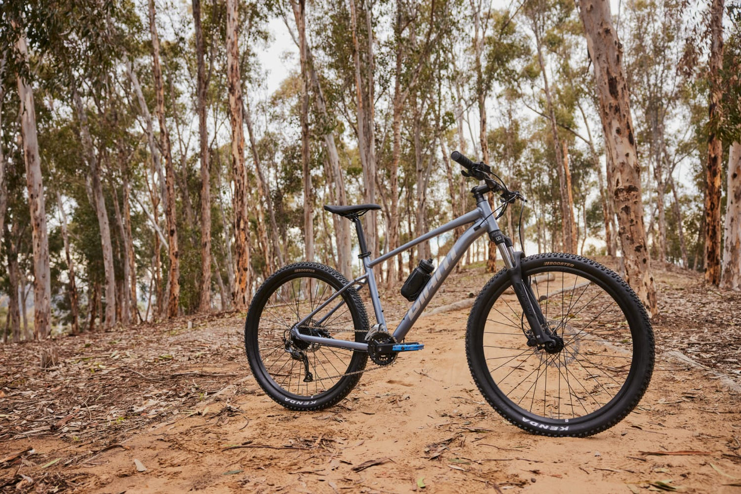 GIANT TALON 29 2 HARDTAIL MTB BIKE 2022 - PHANTOM GREEN