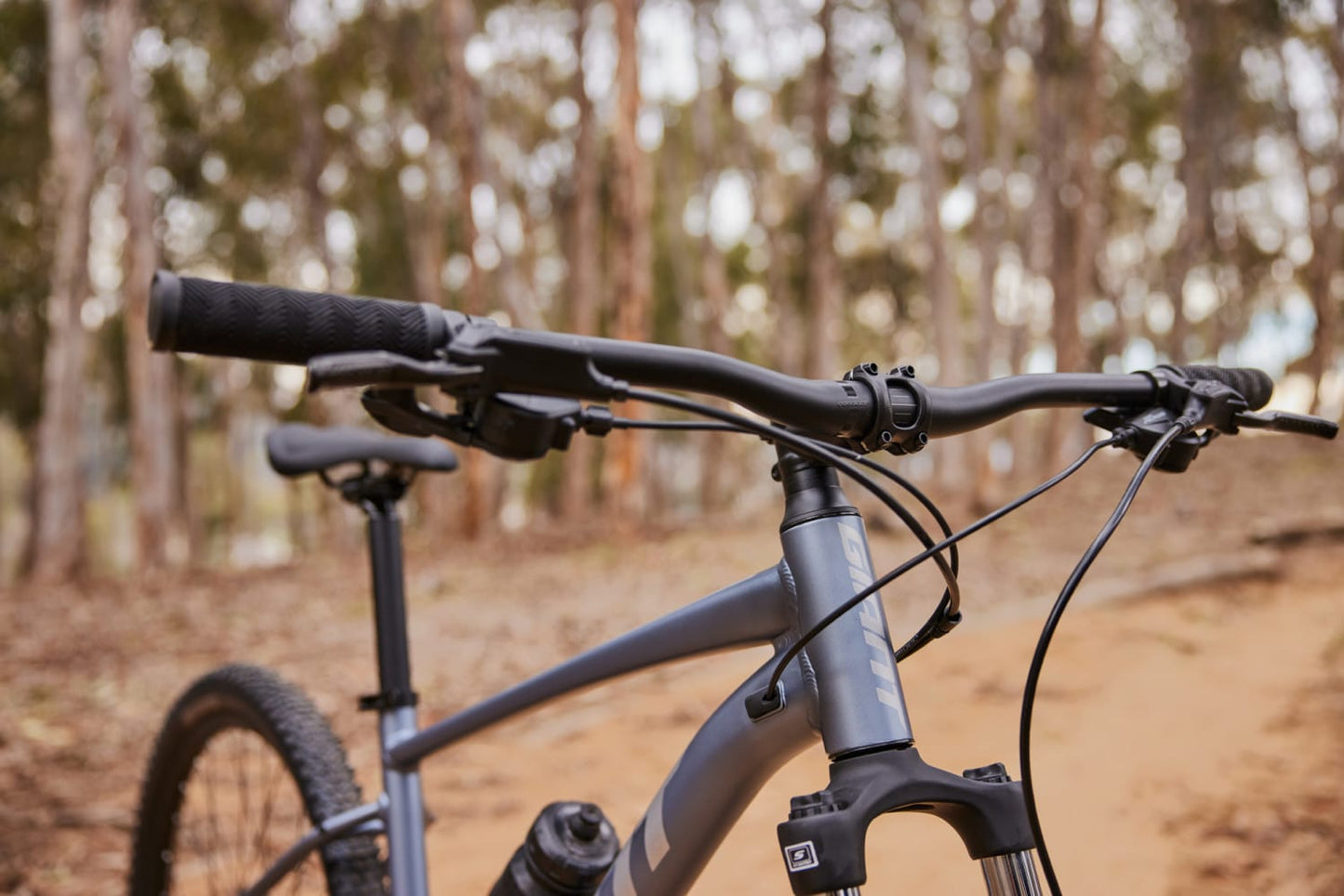 GIANT TALON 29 2 HARDTAIL MTB BIKE 2022 - PHANTOM GREEN