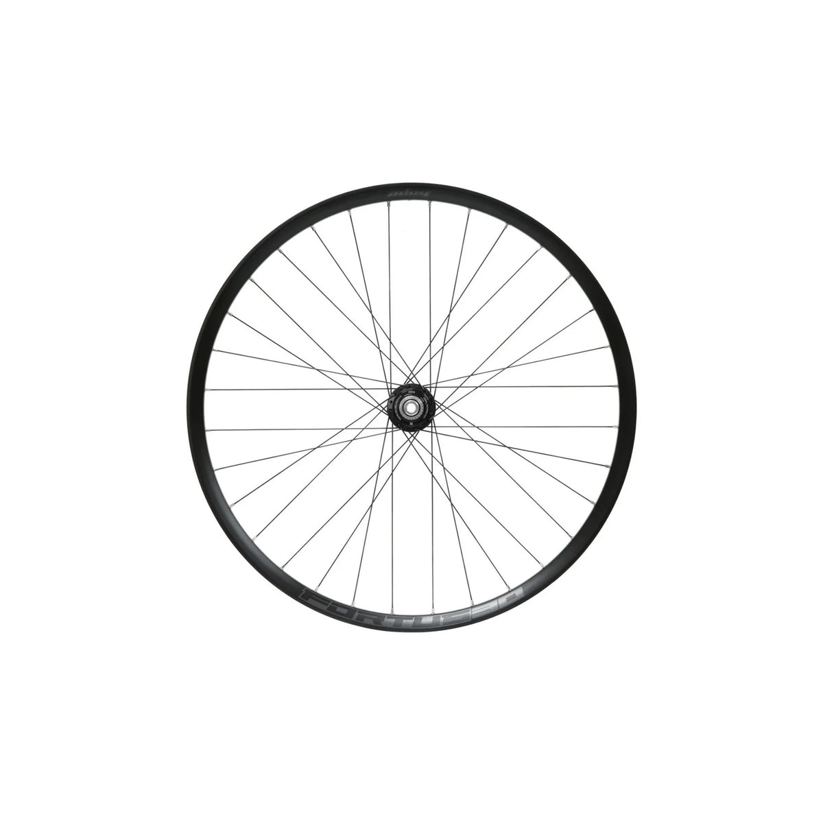 HOPE FORTUS 30W PRO 5 6-BOLT 29" REAR eBIKE WHEEL SILVER