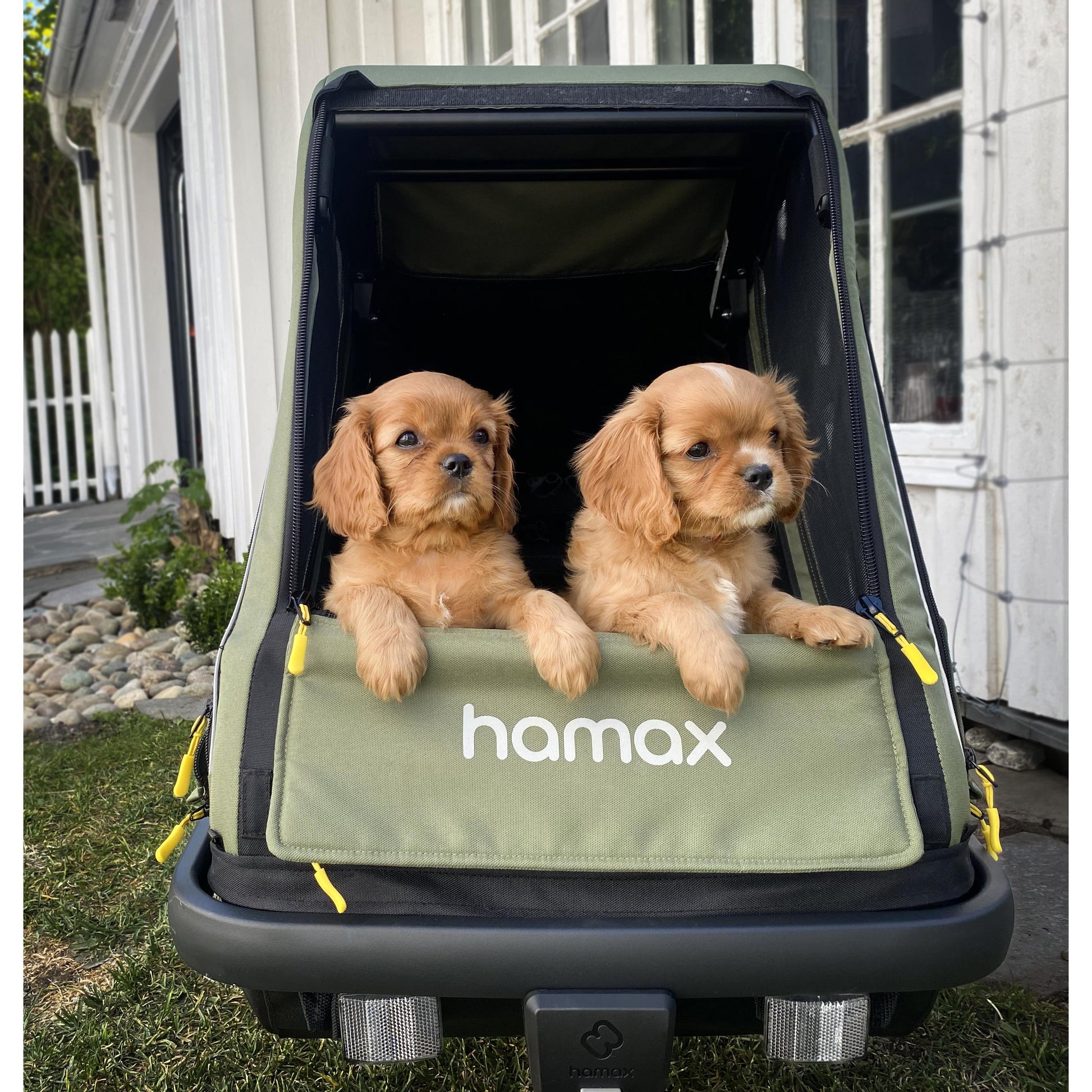 HAMAX PLUTO M DOG TRAILER