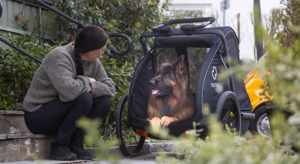 HAMAX PLUTO L DOG TRAILER