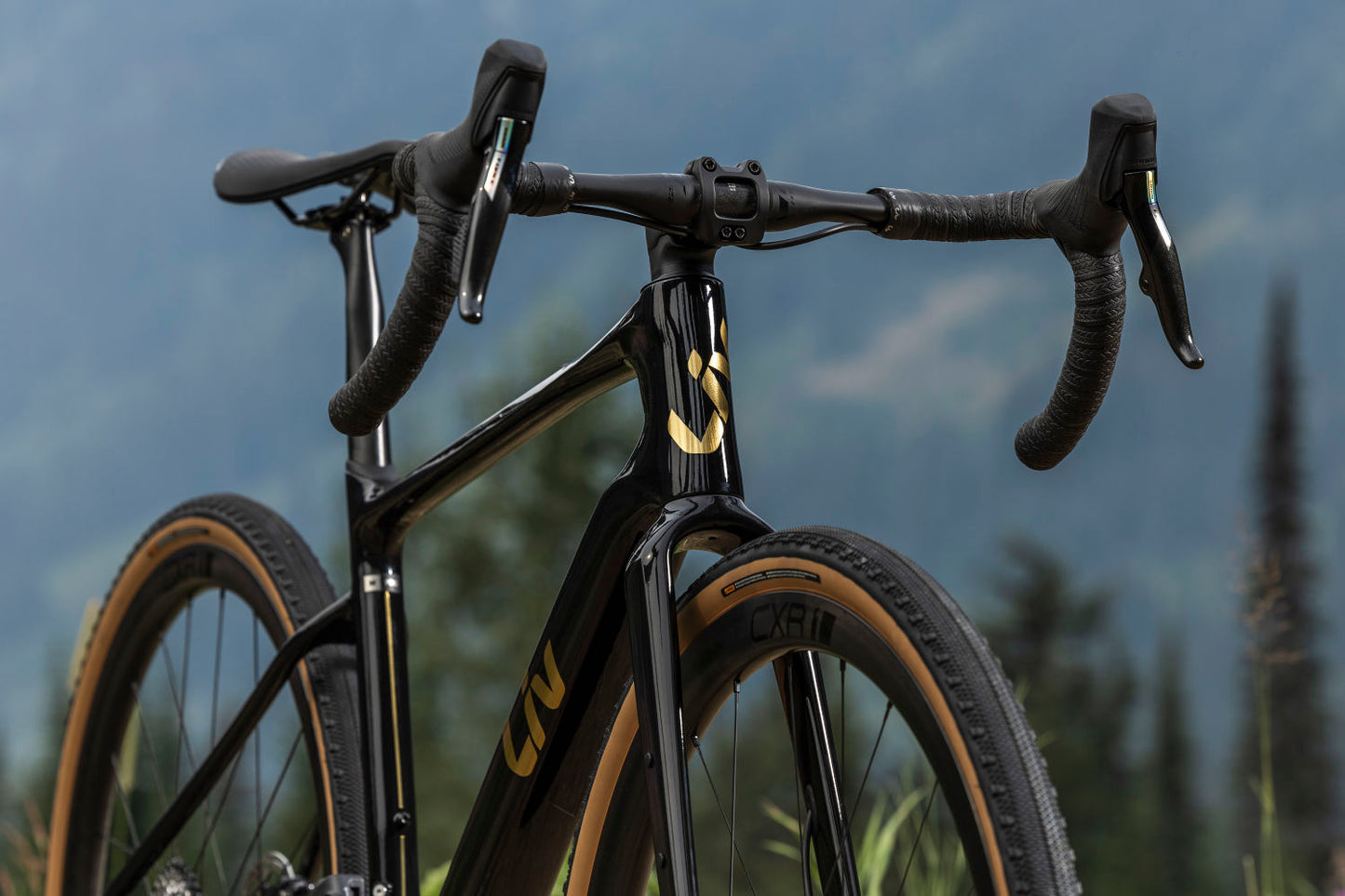 GIANT LIV DEVOTE ADVANCED PRO GRAVEL BIKE 2024 CARBON/GOLD CHROME