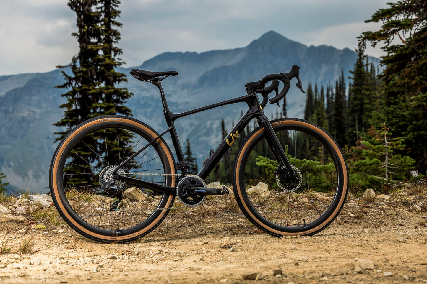 GIANT LIV DEVOTE ADVANCED PRO GRAVEL BIKE 2024 CARBON/GOLD CHROME