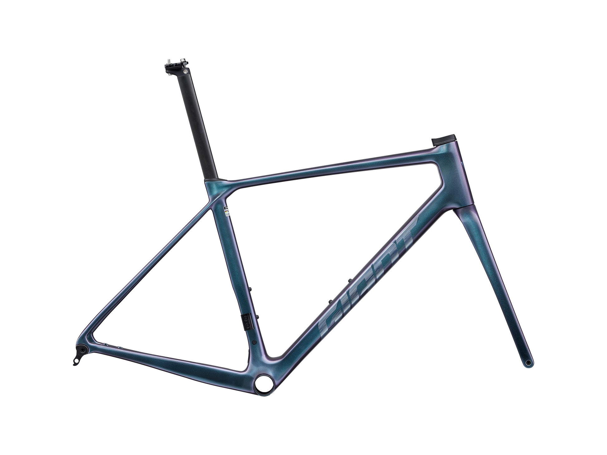GIANT TCR ADVANCED PRO FRAMESET 2025 GLOSS BLUE DRAGONFLY/BRUSHED FOIL