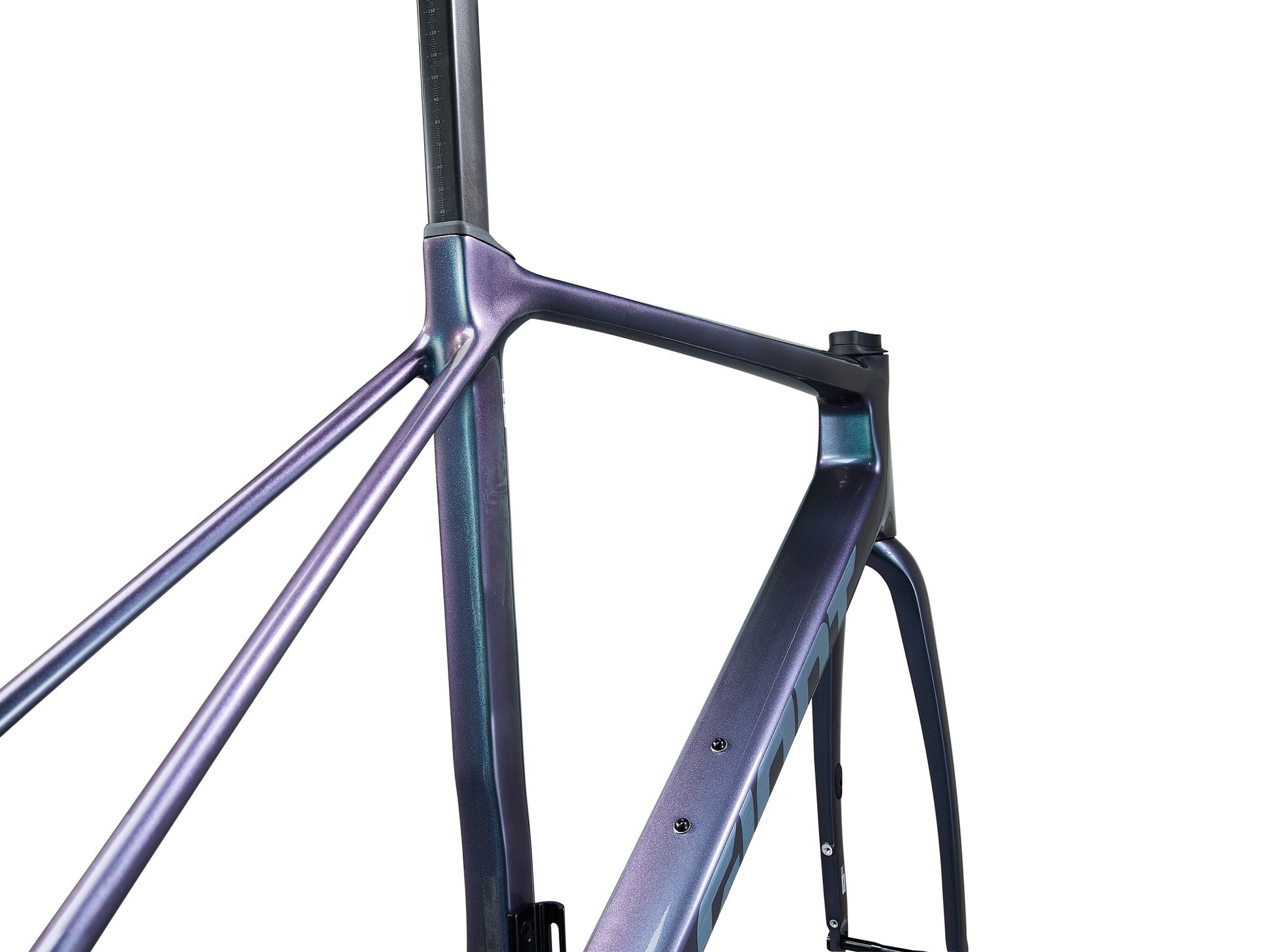 GIANT TCR ADVANCED PRO FRAMESET 2025 GLOSS BLUE DRAGONFLY/BRUSHED FOIL