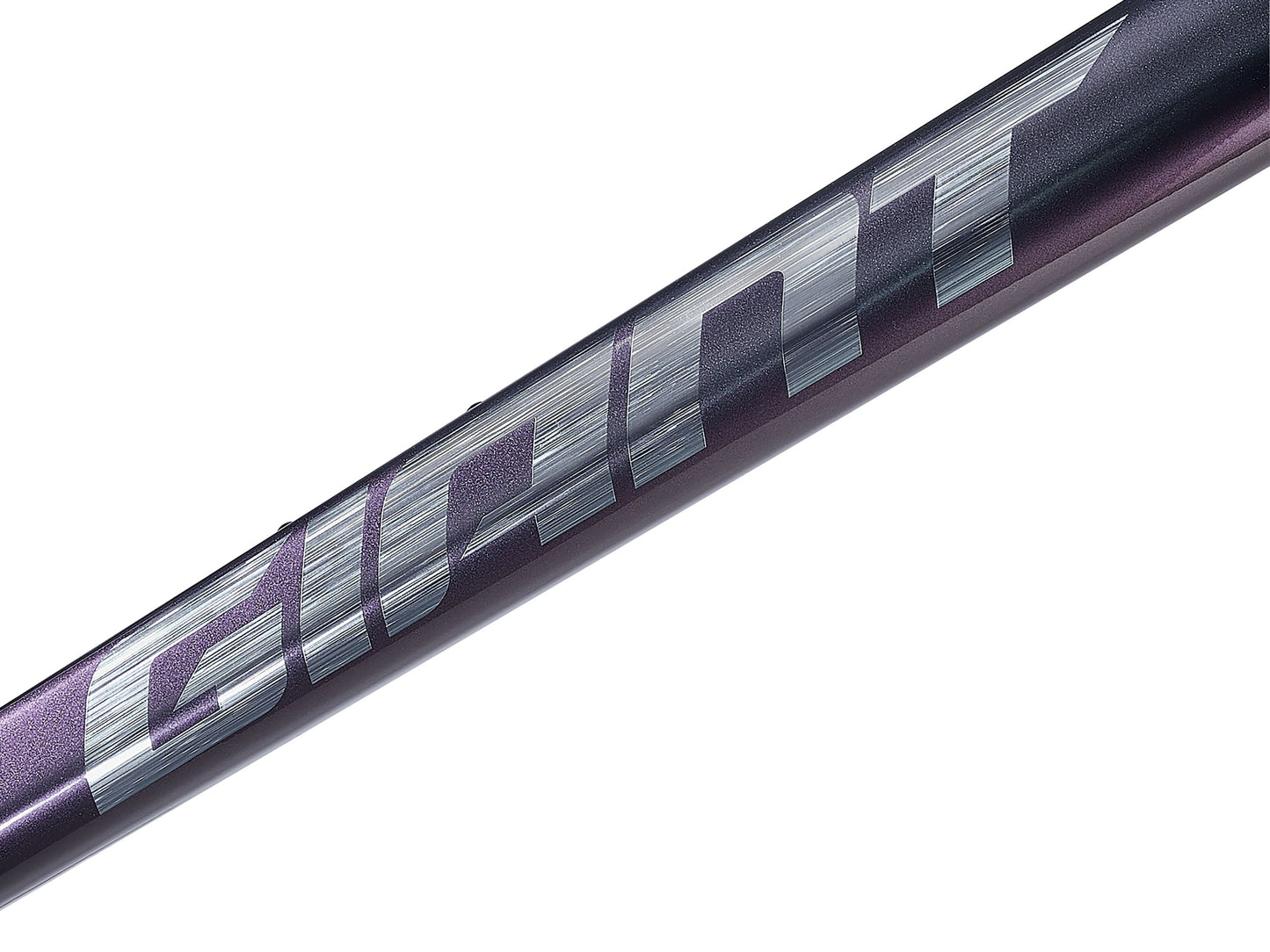 GIANT TCR ADVANCED PRO FRAMESET 2025 GLOSS BLUE DRAGONFLY/BRUSHED FOIL