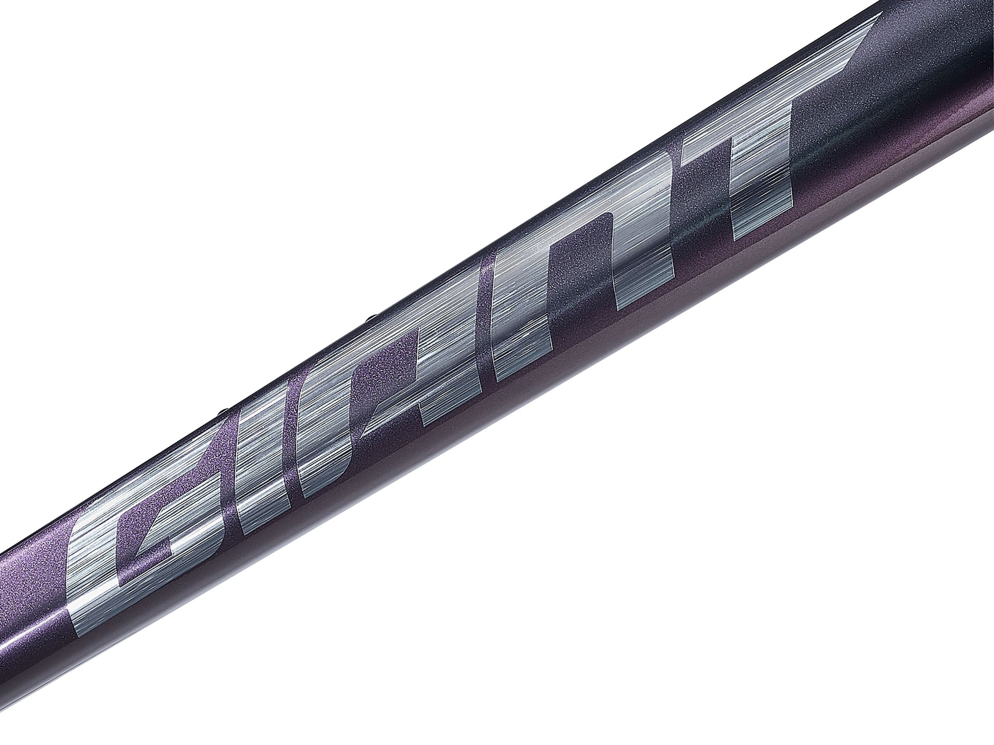 GIANT TCR ADVANCED PRO FRAMESET 2025 GLOSS BLUE DRAGONFLY/BRUSHED FOIL