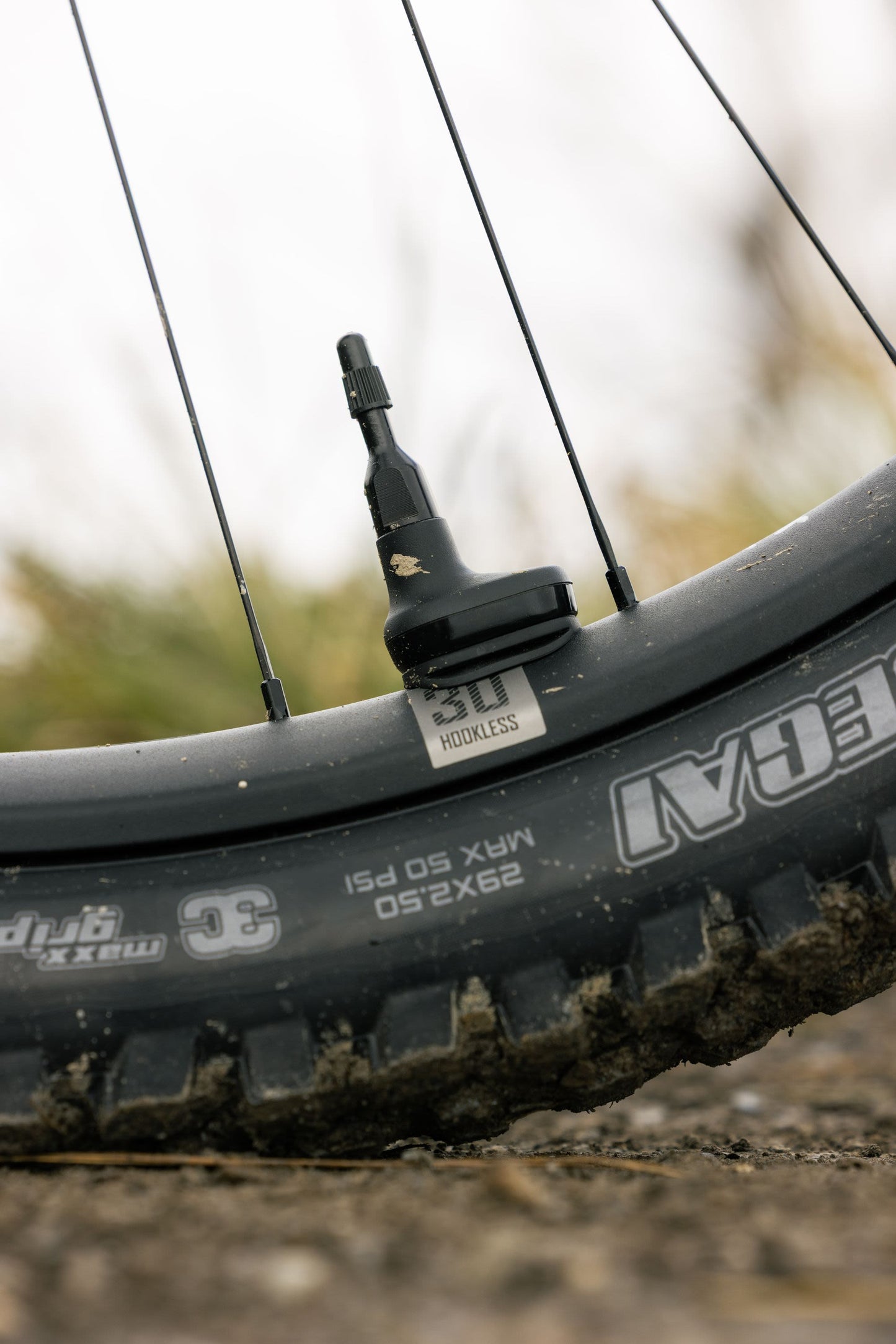 GIANT REIGN ADVANCED E+ 1 eMTB BIKE 2026 MERCURY/CARBON SMOKE