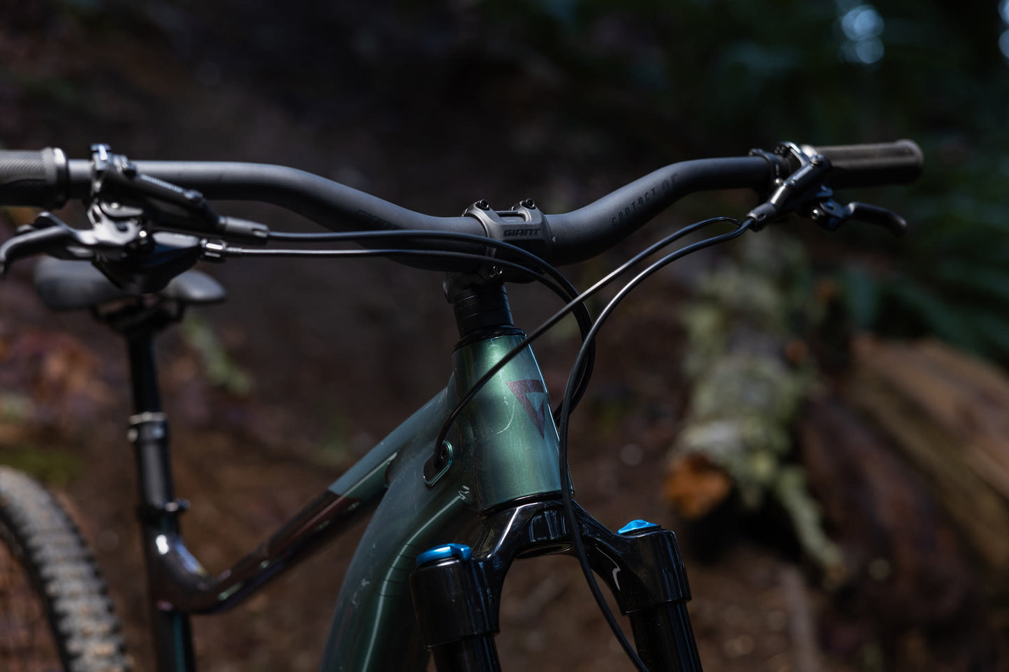 GIANT REIGN 2 FULL SUSPENSION MTB BIKE 2026 MINERAL GREEN