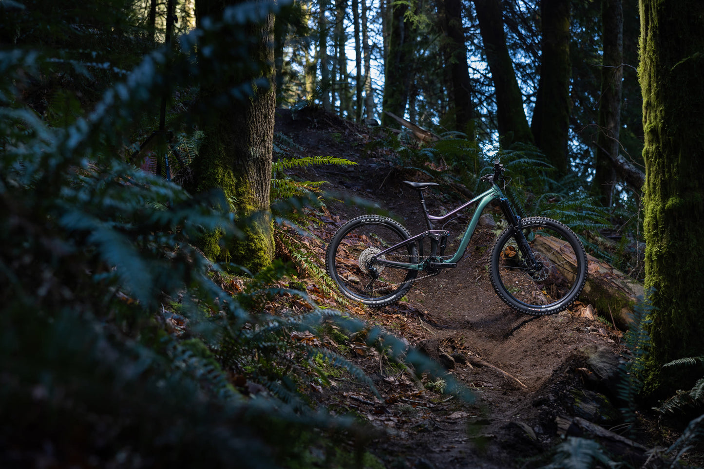 GIANT REIGN 2 FULL SUSPENSION MTB BIKE 2026 MINERAL GREEN