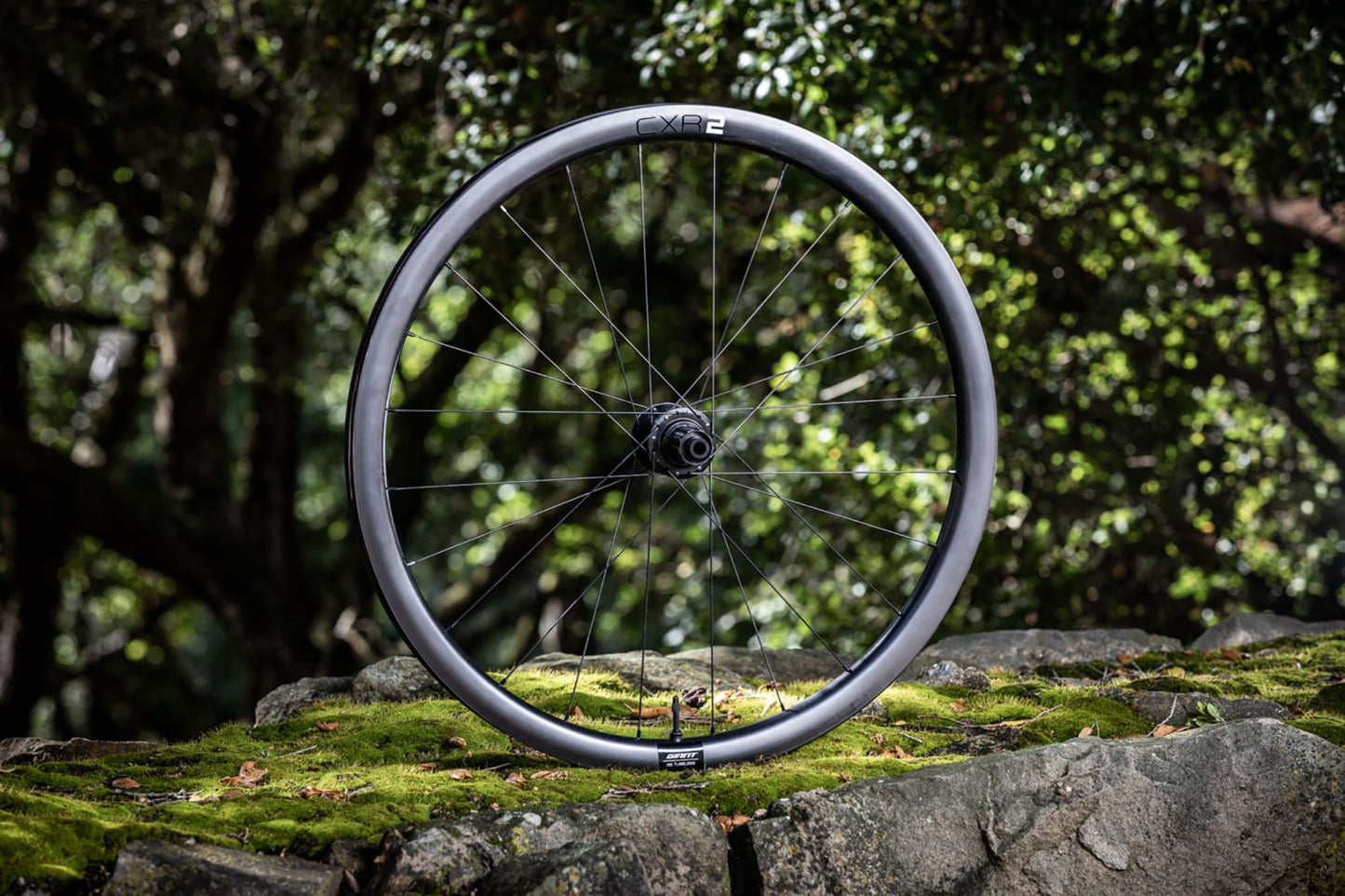 GIANT CXR 2 HOOKLESS CARBON FRONT WHEEL