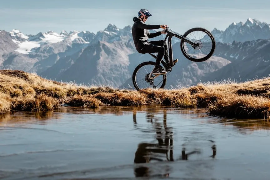 HAIBIKE LYKE CF 10 FULL SUSPENSION eMTB BIKE 2025 MATT CARBON/SILVER
