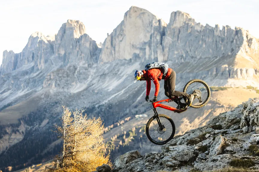 HAIBIKE ALLMTN CF 9 FULL SUSPENSION eMTB BIKE 2025 GLOSSY RED/BLACK/PLATINUM