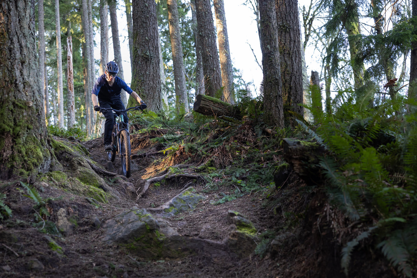 GIANT REIGN 2 FULL SUSPENSION MTB BIKE 2026 MINERAL GREEN