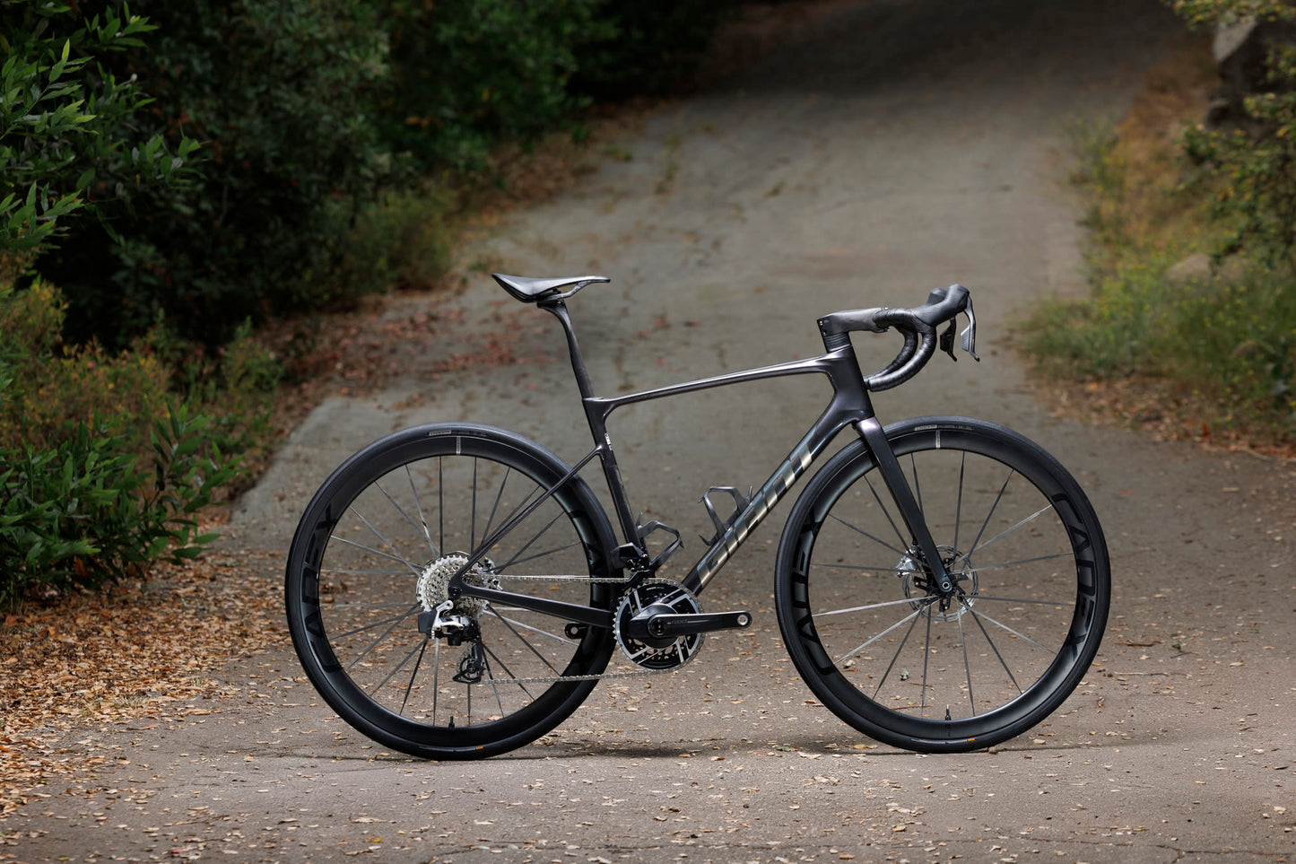 GIANT DEFY ADVANCED SL 0 ROAD BIKE 2026 ARCTIC LIGHT