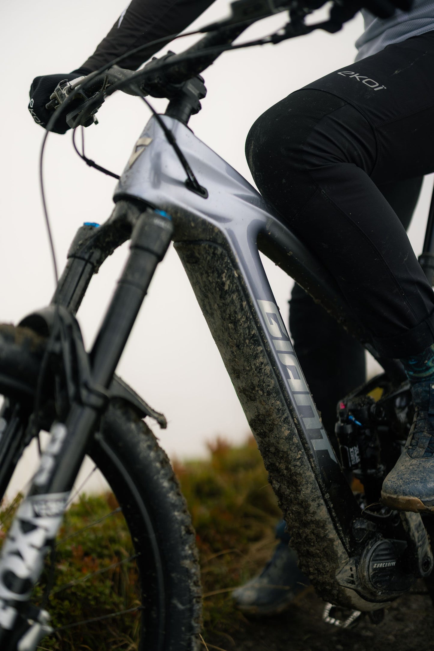 GIANT REIGN ADVANCED E+ 1 eMTB BIKE 2026 MERCURY/CARBON SMOKE