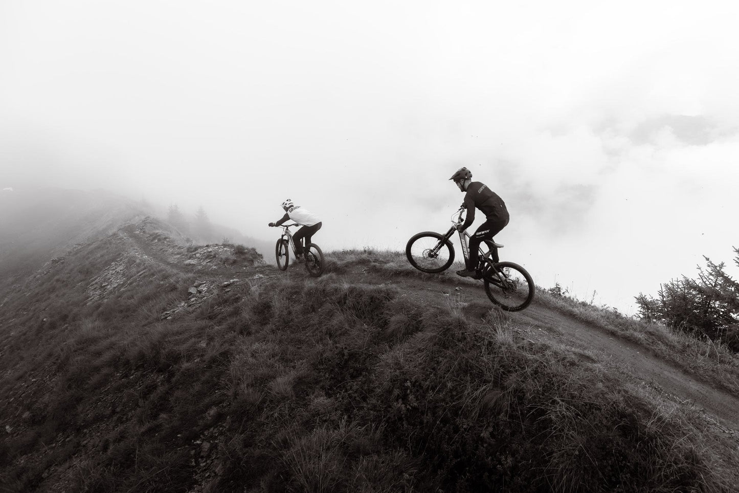 GIANT REIGN ADVANCED E+ 1 eMTB BIKE 2026 MERCURY/CARBON SMOKE
