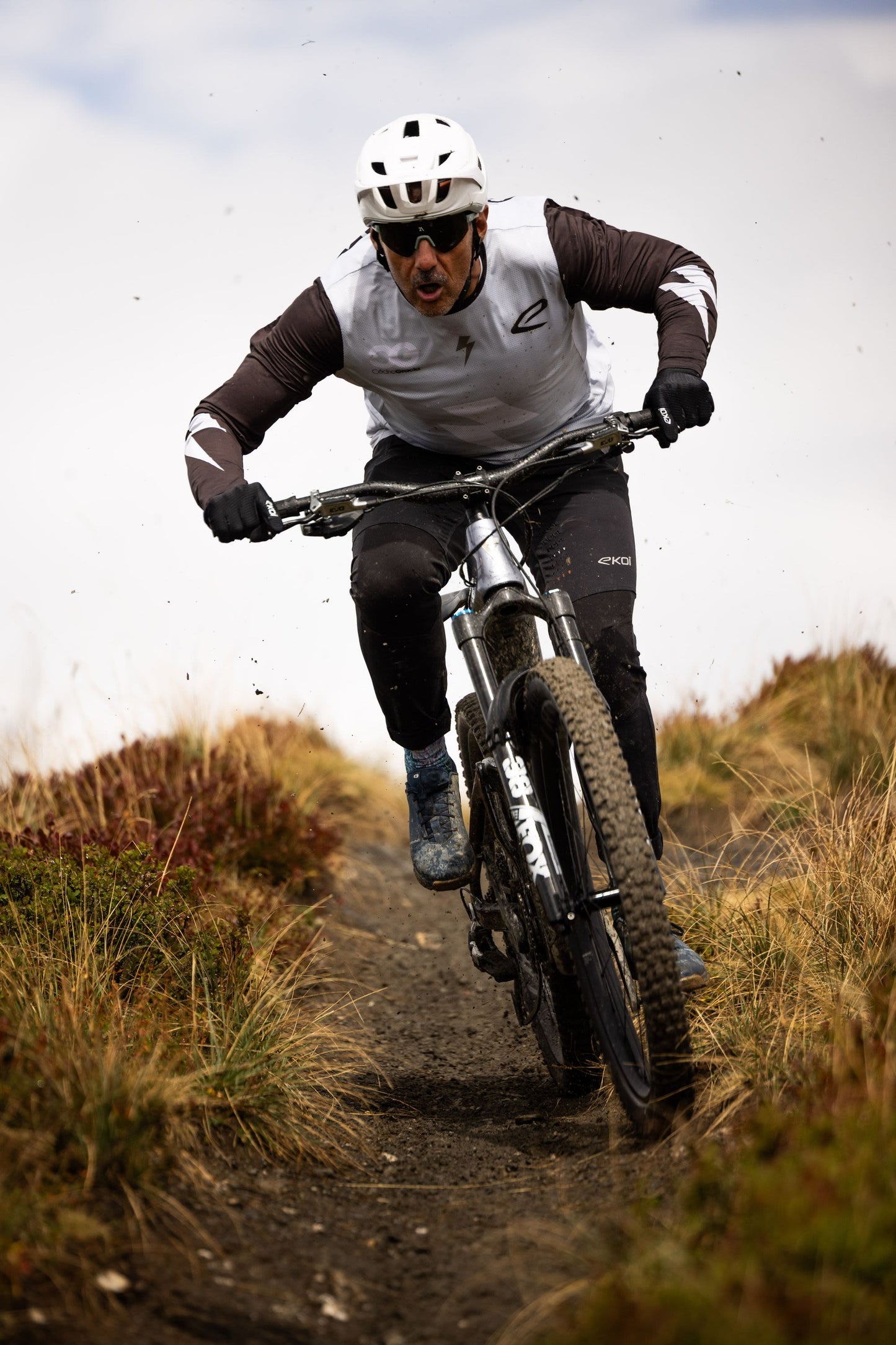 GIANT REIGN ADVANCED E+ 1 eMTB BIKE 2026 MERCURY/CARBON SMOKE