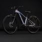 CUBE REACTION HYBRID SLX 800 FE HARDTAIL eMTB BIKE 2027 ARTLINE