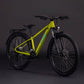 CUBE ACID 260 DISC FE KID'S MTB BIKE 2026 LIZARD' N 'BLUE