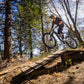 GIANT REIGN 2 FULL SUSPENSION MTB BIKE 2023 - GLOSS BLACK/METAL
