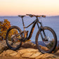 GIANT REIGN 2 FULL SUSPENSION MTB BIKE 2023 - GLOSS BLACK/METAL