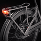 TREK FETCH+ 4 ELECTRIC CARGO BIKE 2025 DNISTER BLACK