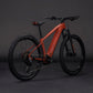 CUBE REACTION HYBRID RACE 800 eMTB BIKE 2026 AMBER' N 'BLACK