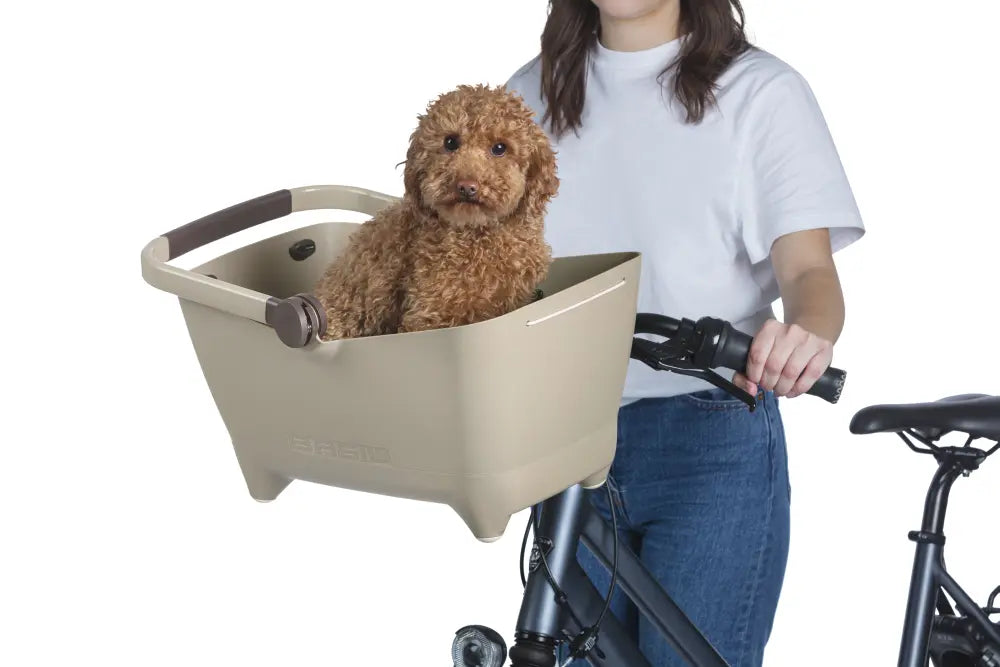 BASIL BUDDY FRONT DOG BICYCLE BASKET KF