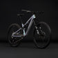 CUBE STEREO HPC TM MTB BIKE 2027 GREENFUSION 'N' BLACK
