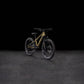 CUBE REACTION 200 TM KID'S MTB BIKE 2026 GOLDENLIME' N 'BLACK