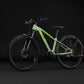 CUBE REACTION HYBRID ONE 720 FE HARDTAIL eMTB BIKE 2027 CACTUS 'N' BLACK