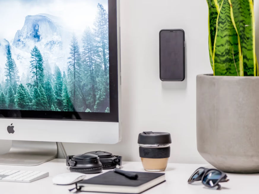 QUAD LOCK ADHESIVE WALL MOUNTS