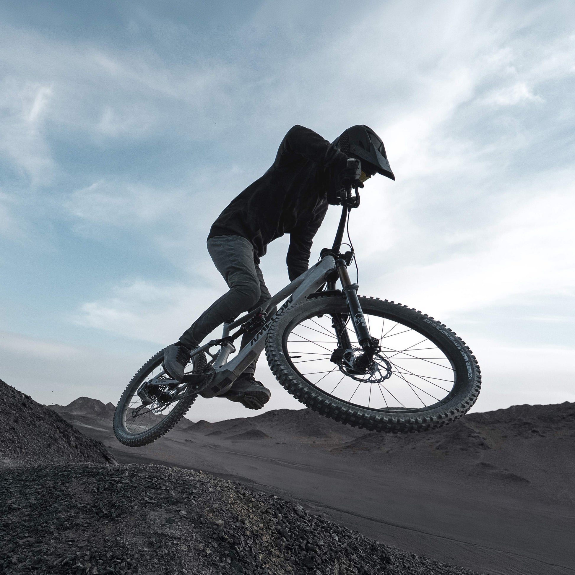 AMFLOW PX CARBON PRO 700Wh FULL SUSPENSION eMTB BIKE 2027 MOONSTONE GREY