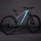 CUBE REACTION HYBRID RACE 800 eMTB BIKE 2026 POLARLIGHT' N 'PRISM