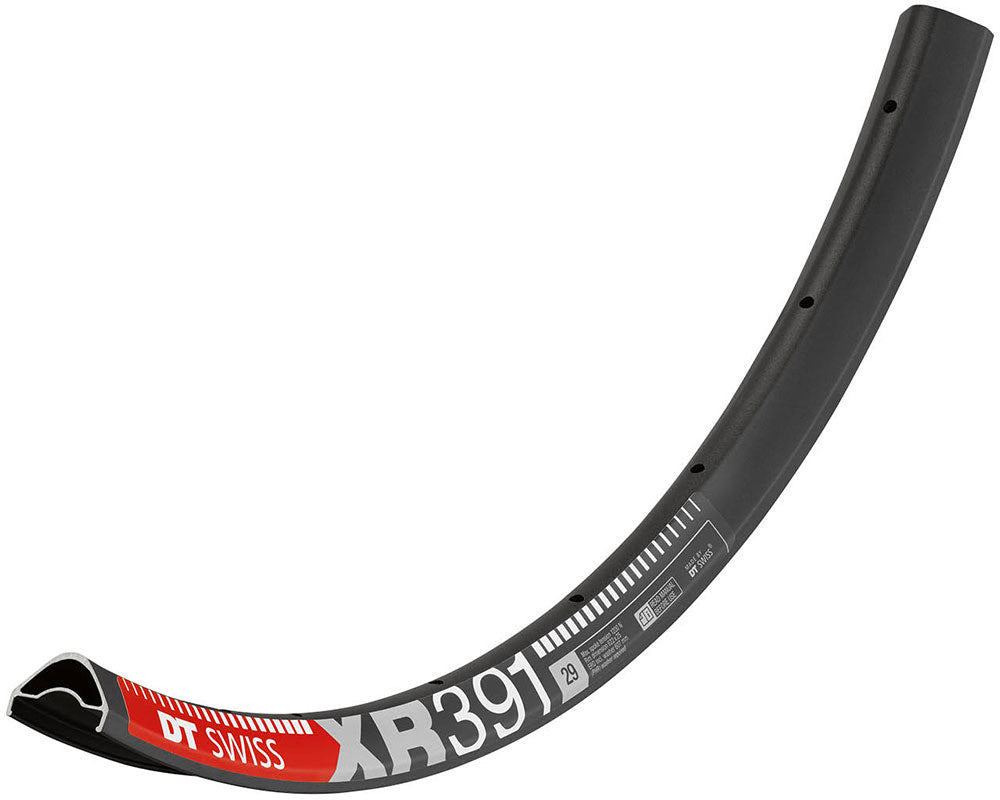 DT SWISS XR 391 29" DISC RIM
