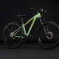 CUBE REACTION HYBRID ONE 720 FE HARDTAIL eMTB BIKE 2027 CACTUS 'N' BLACK