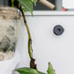 QUAD LOCK ADHESIVE WALL MOUNTS