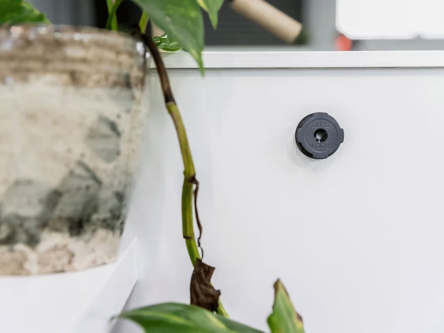 QUAD LOCK ADHESIVE WALL MOUNTS