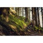 ALTURA DALES TECH TEE STONE