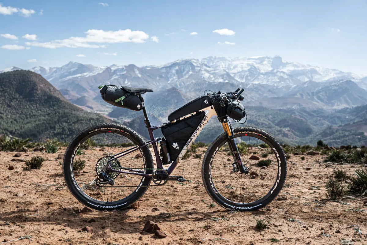 MISS GRAPE BIG NODE TOP TUBE BAG