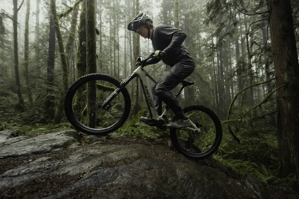 AMFLOW PR CARBON FULL SUSPENSION eMTB BIKE 2027 MOSS-GREEN