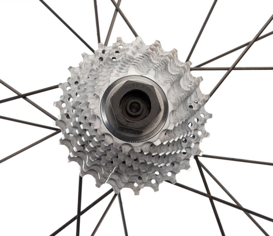 PARK TOOL BBT-5/FR-11 BOTTOM BRACKET/CASSETTE LOCKRING TOOL - CAMPAGNOLO