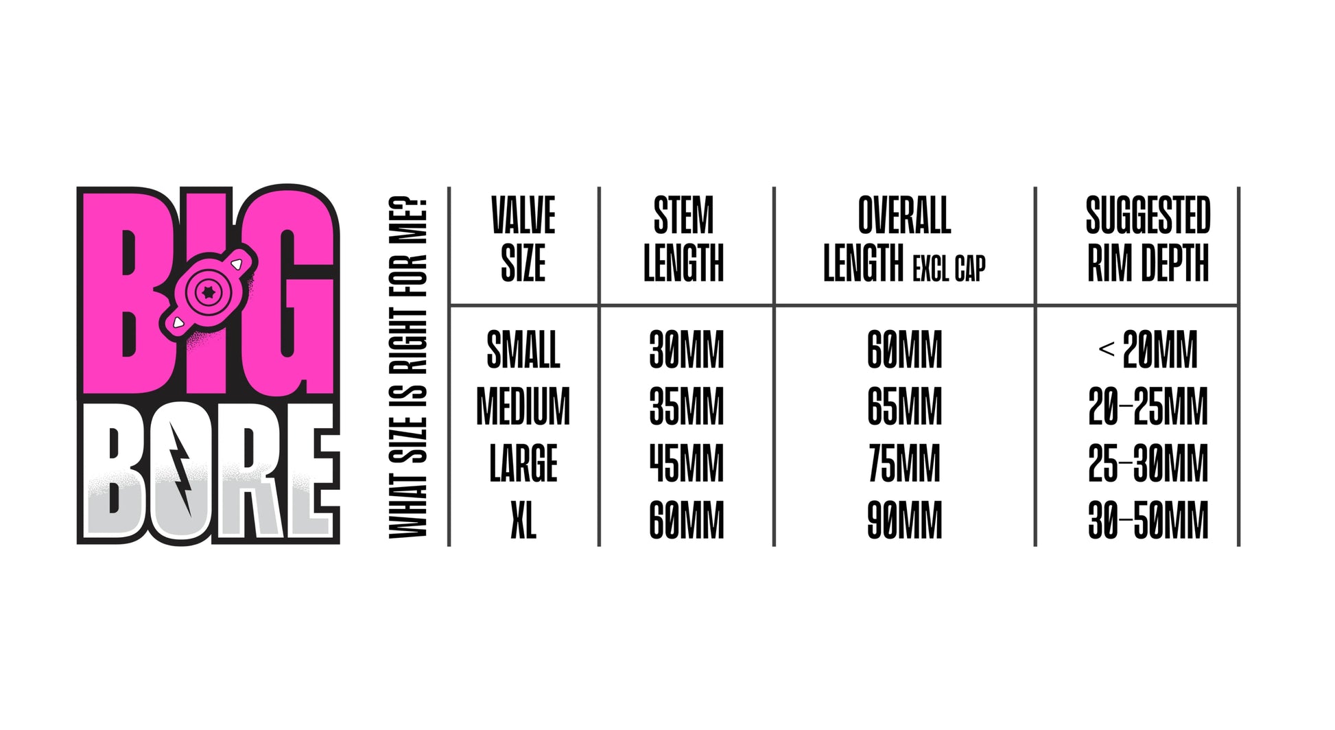 MUC-OFF BIG BORE HYBRID TUBELESS VALVE SMALL (30mm)