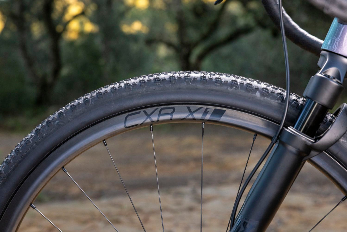 GIANT CXR 1 X 1 HOOKLESS 700C REAR WHEEL