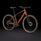 TREK DUAL SPORT 3 GEN 5 HYBRID BIKE 2025 PENNYFLAKE