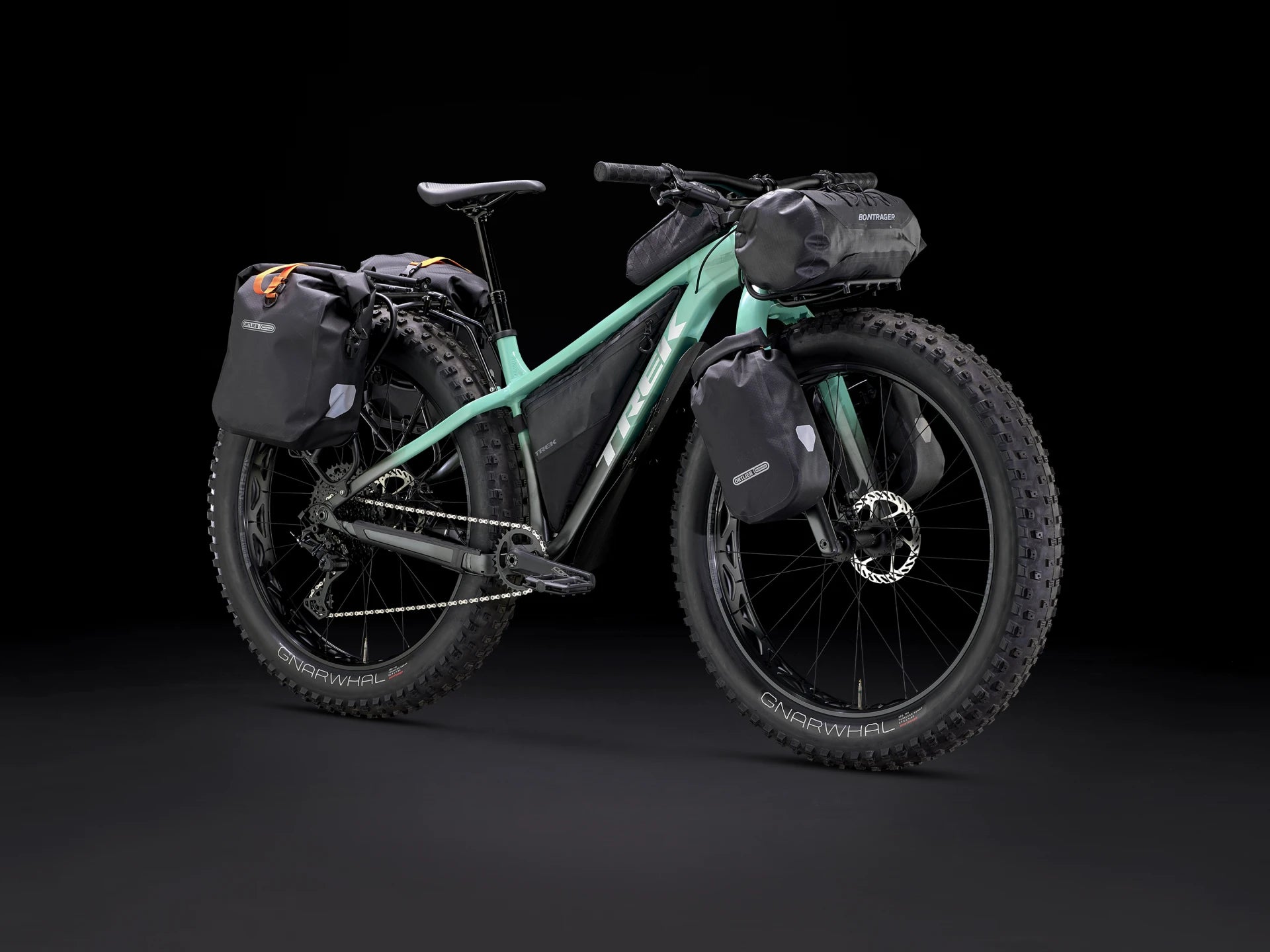 Farley fat deals bike