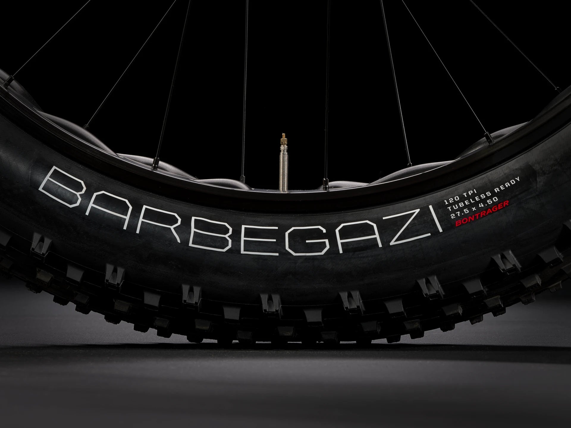 Trek Farley 9.6 Fat MTB Bike 2025 allterraincycles