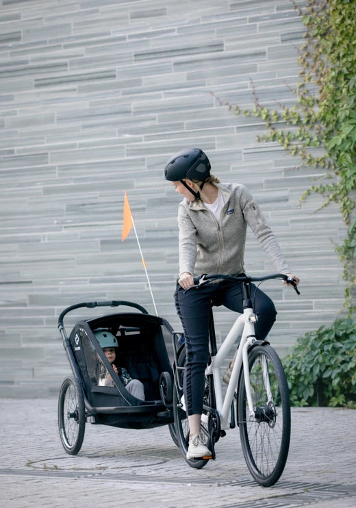 HAMAX BREEZE TWO SEATER CHILD BIKE TRAILER