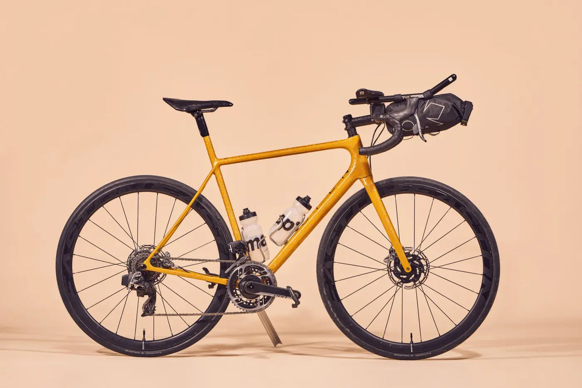 MISS GRAPE TRUNK AERO BAR BAG WP
